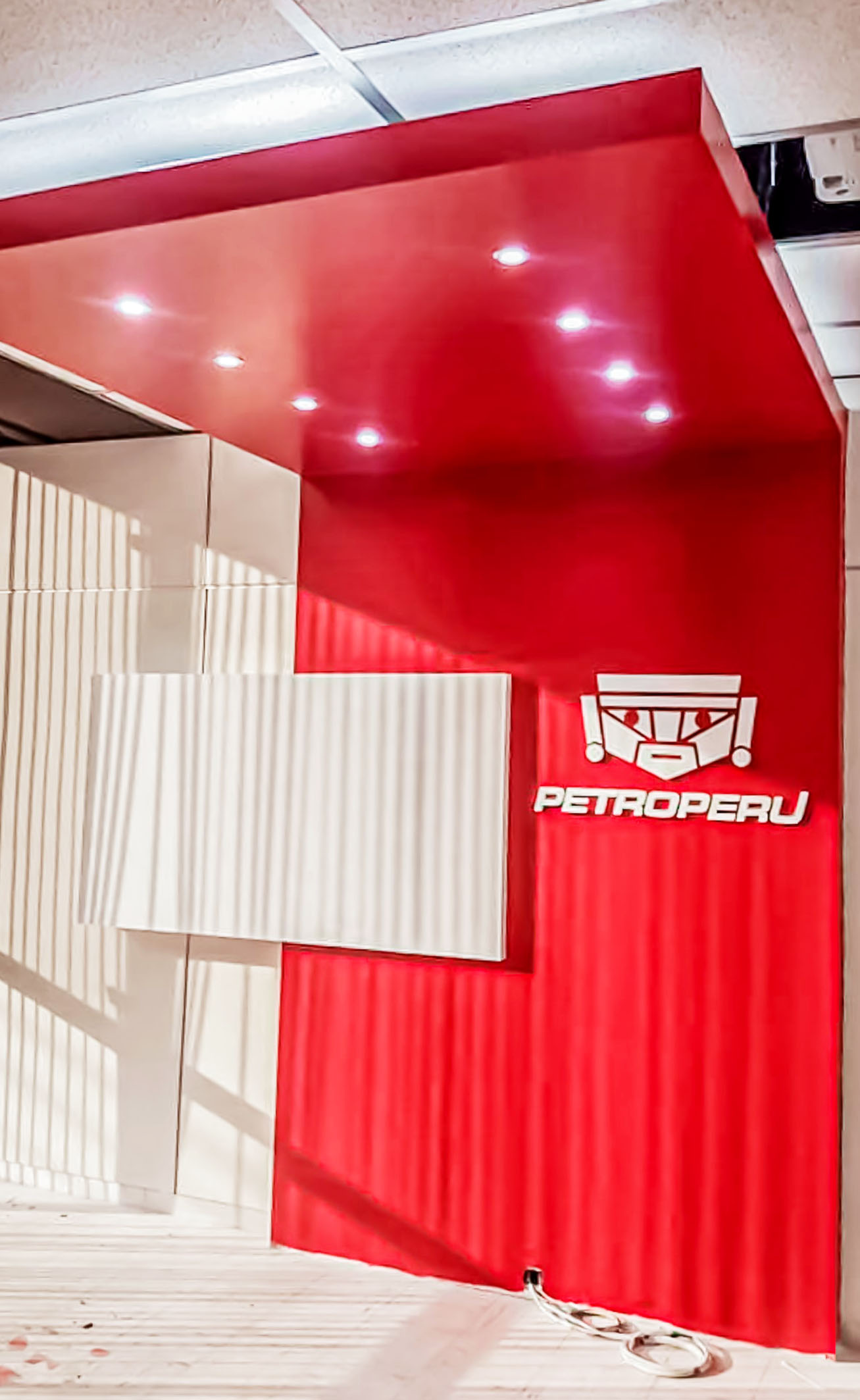PetroPeru - Punto y forma